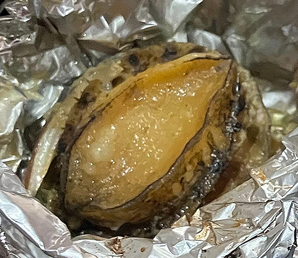 アワビ